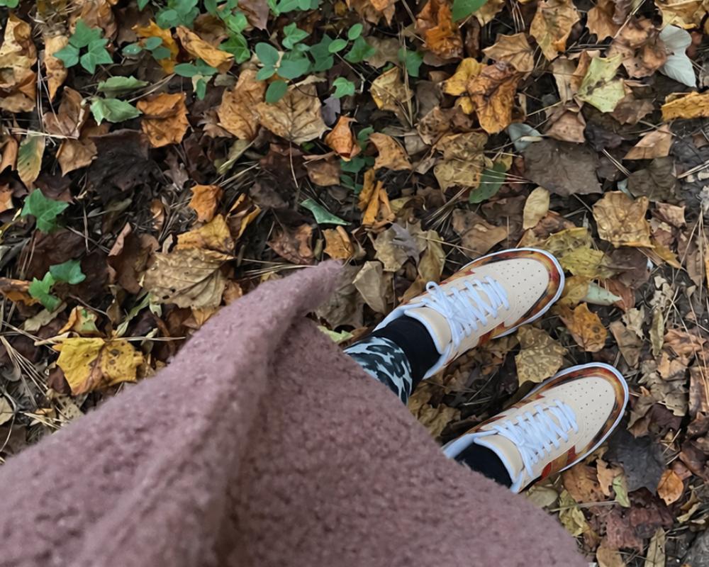 Fall Illustration Court Sneakers worn and positioned against brown leaves on the ground