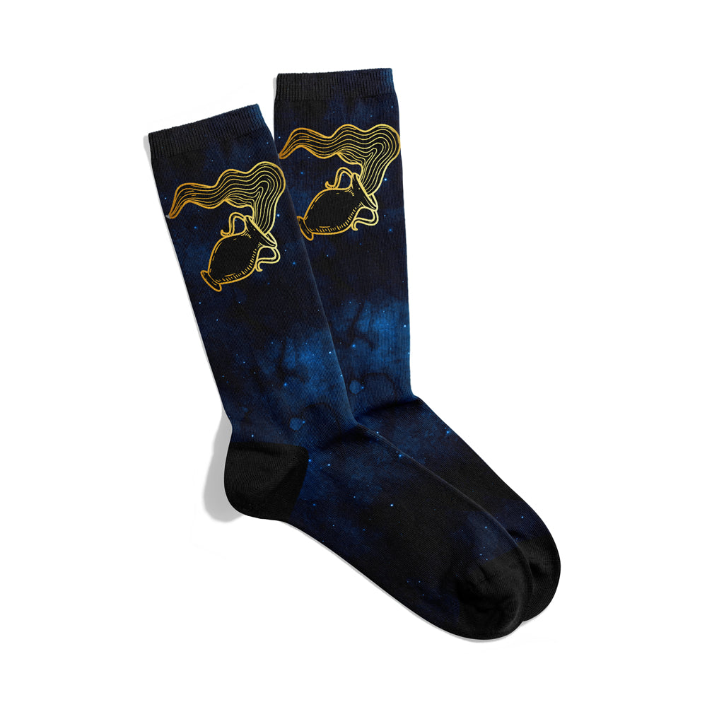 Aquarius Socks